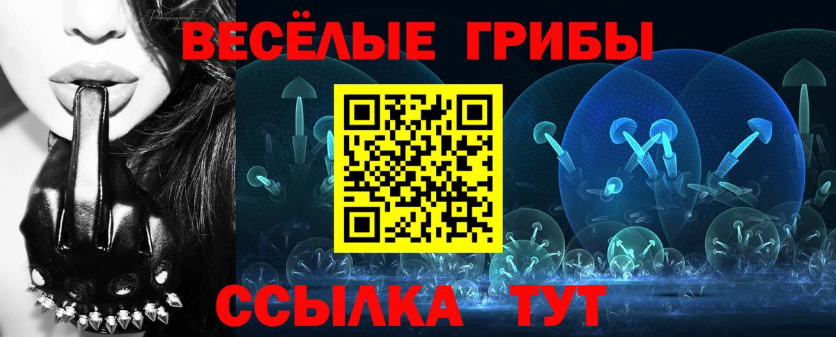 Псилоцибиновые грибы прущие грибы  Псилоцибиновые грибы прущие грибы  Вход с VPN  Новошахтинск 