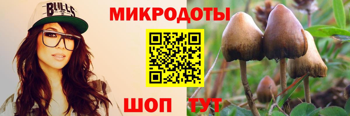 Псилоцибиновые грибы мухоморы Новошахтинск